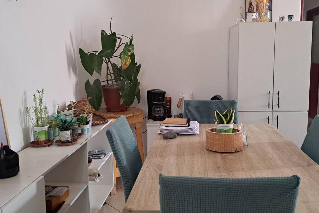 Mendes Family Homestay - B&B In The Heart Of プライア エクステリア 写真